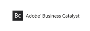 Adobe Business Catalyst