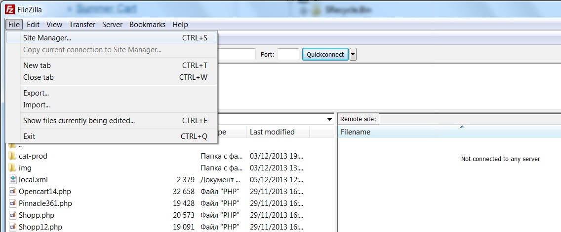 Create a new site in FileZilla Create a new site in FileZilla for Volusion image migration