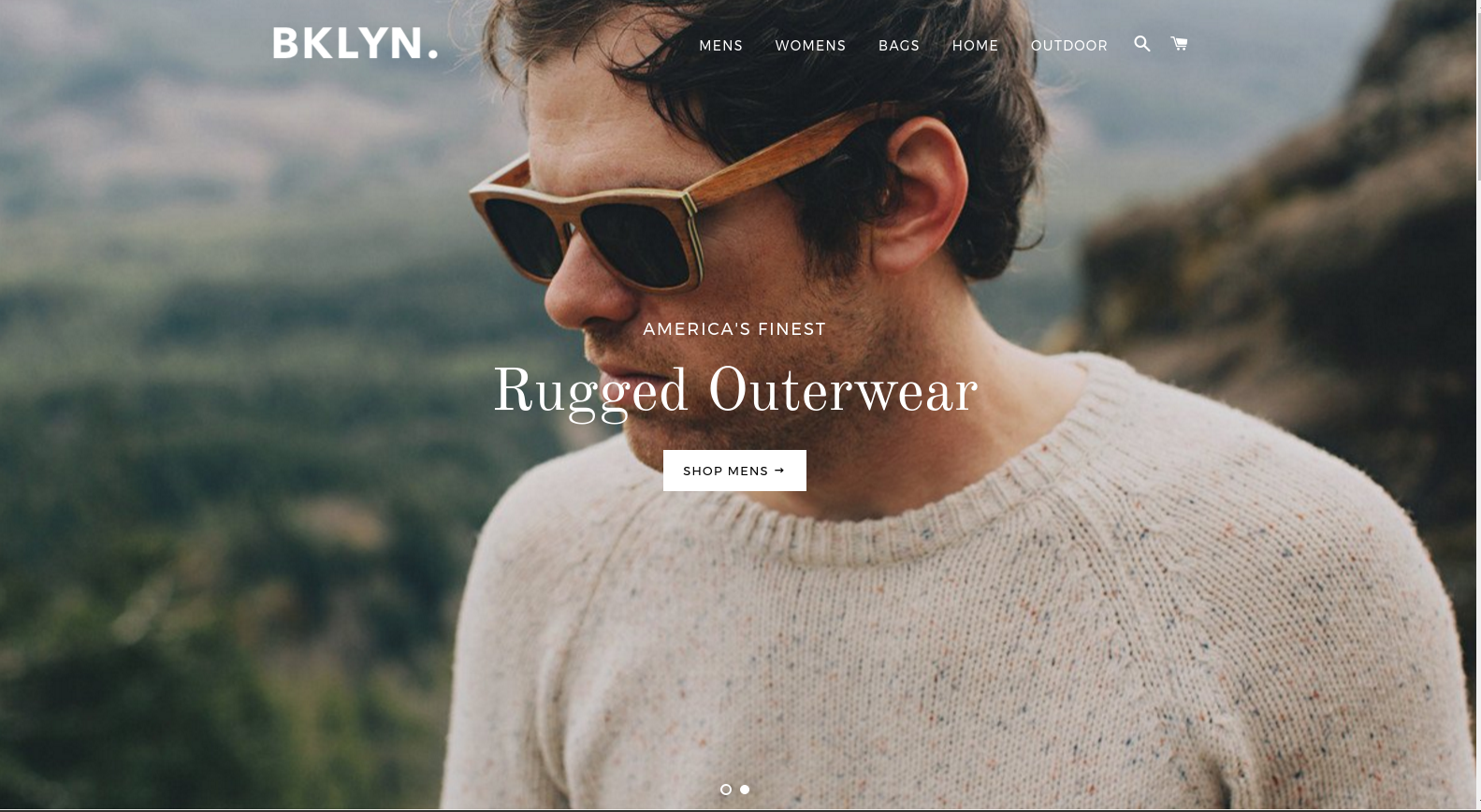 Shopify theme example