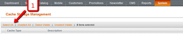 Magento Cache Management: Refreshing Cache Types