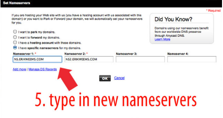 Enter New Name Servers for Data Migration