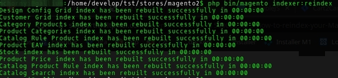 How to Manage Your Store After Magento 2 Migration