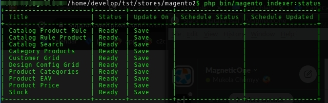 How to Manage Your Store After Magento 2 Migration