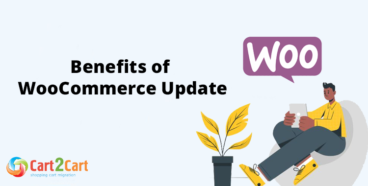 woocommerce update