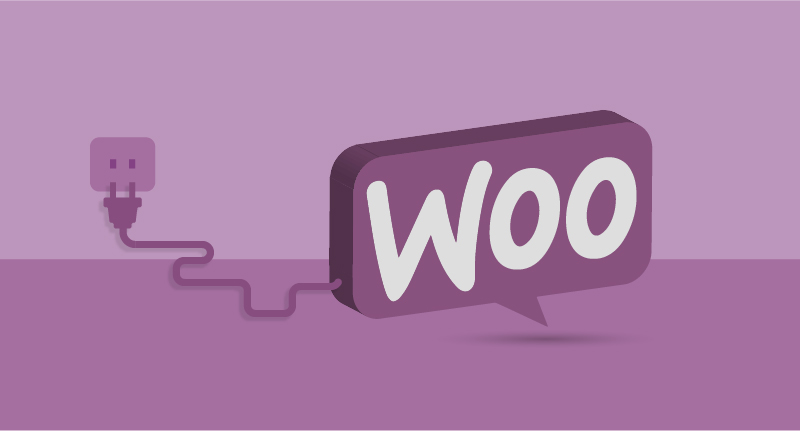 WooCommerce- extensions-you-must-try-100