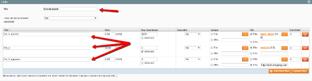 Magento Downloadable Products Structure after Magento data migration