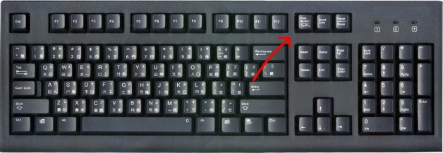 Using the Print Screen button for data migration support