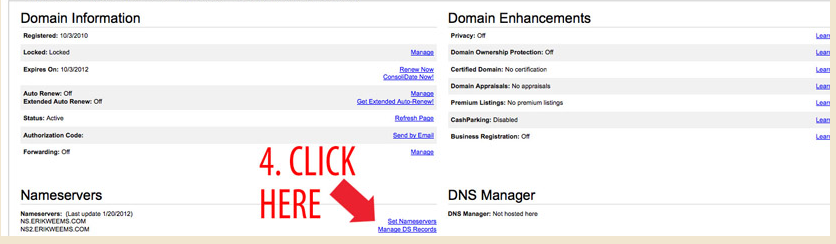 domain name switch