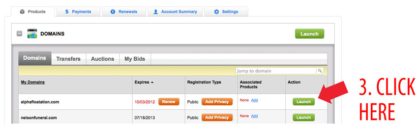 domain name switch
